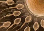 clinicas-de-fertilizacao-humana-natal-1414505656
