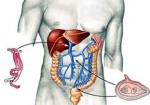 gastroenterologia-e-gastroenterologistas-natal-1414506944