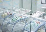 maternidade-natal-1414509691