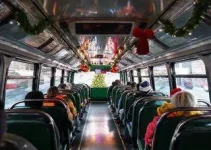 transporte gratuito