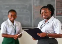 professores temporários