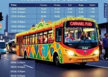 transporte folião