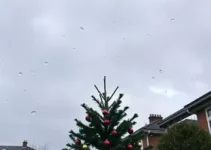 chuvas em natal