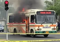 ônibus do transporte público