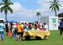 serviços públicos RN Páscoa
