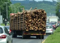 carreta com madeira