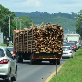 carreta com madeira