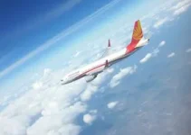 bird strike