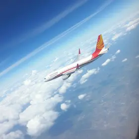 bird strike