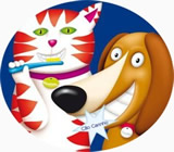 Banho e Tosa de Animais em Natal