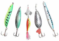 Lojas de Pesca em Natal
