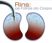 Nefrologia e Nefrologistas em Natal