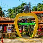 Maior Cajueiro do Mundo