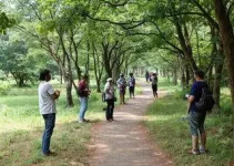 parque linear