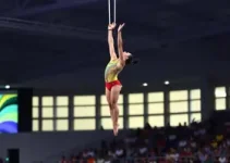 Campeonatos Brasileiros de Ginástica