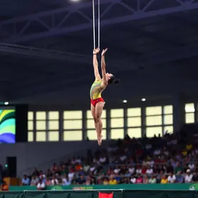 Campeonatos Brasileiros de Ginástica