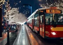 transportes gratuitos shows natal