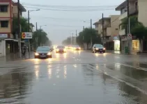 transbordamento das lagoas