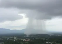 previsão do tempo