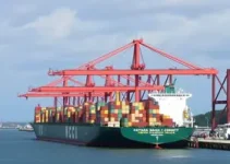 Leilão Porto de Natal