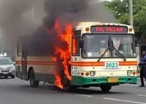 ônibus do transporte público