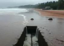 Praia de Ponta Negra