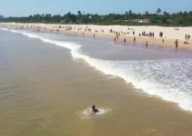 quatro praias impróprias para banho
