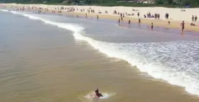 quatro praias impróprias para banho