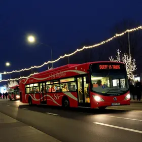 linhas especiais de ônibus São João 2026