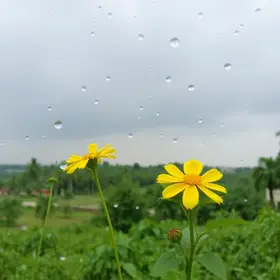 chuvas em Natal