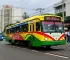 ônibus gratuitos São João Natal RN