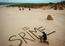 facção criminosa